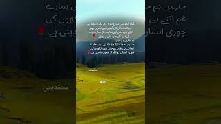 ##GraphicDesign #canvatutorial #logodesign #Freelancer #PakistanDesigners