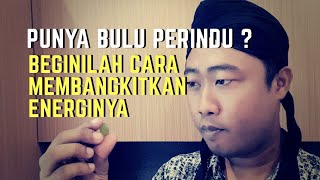 Cara Mudah Mendeteksi Bulu Perindu Asli Dengan Sekali Sentuh