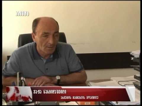 გიორგი ანწუხელიძის დედის საცხოვრებელი სახლი