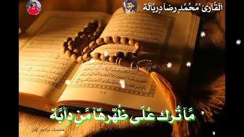 حالة واتس //قرآن كريم //ولو يؤاخذ الله الناس بما كسبوا ما ترك على ظهرها من دابة