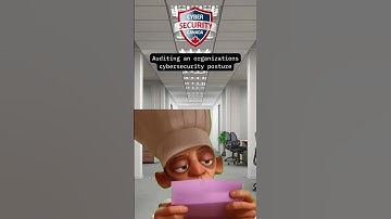 Auditing an organizations cybersecurity posture
