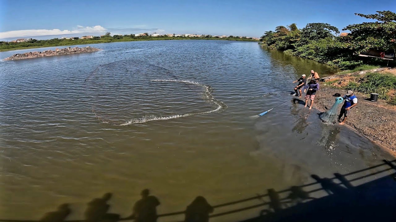GUAIAMU O MELHOR TARRAFEADOR DO BRASIL