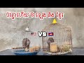 ធ្នាក់ខ្មែរ ប៉ះ ធ្នាក់ម៉ាឡេ 