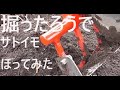 hottarou kansei