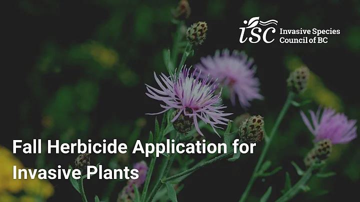 Fall Herbicide Application for Invasive Plants