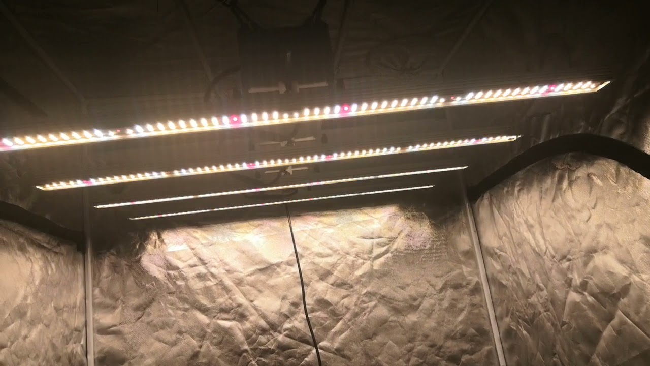 240W LED GROW LIGHT BAR