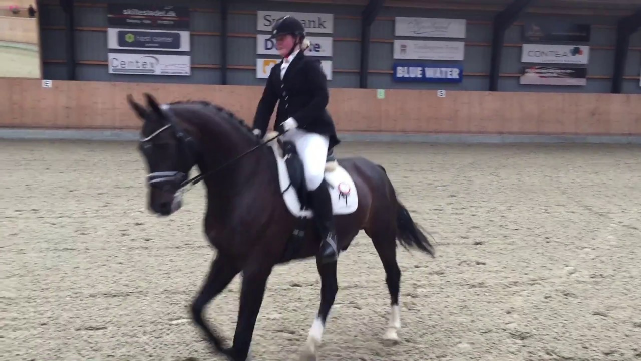 Cracker Jack MB2 til 68,68% placeret som nummer 5 på EOR d.1/10-2016