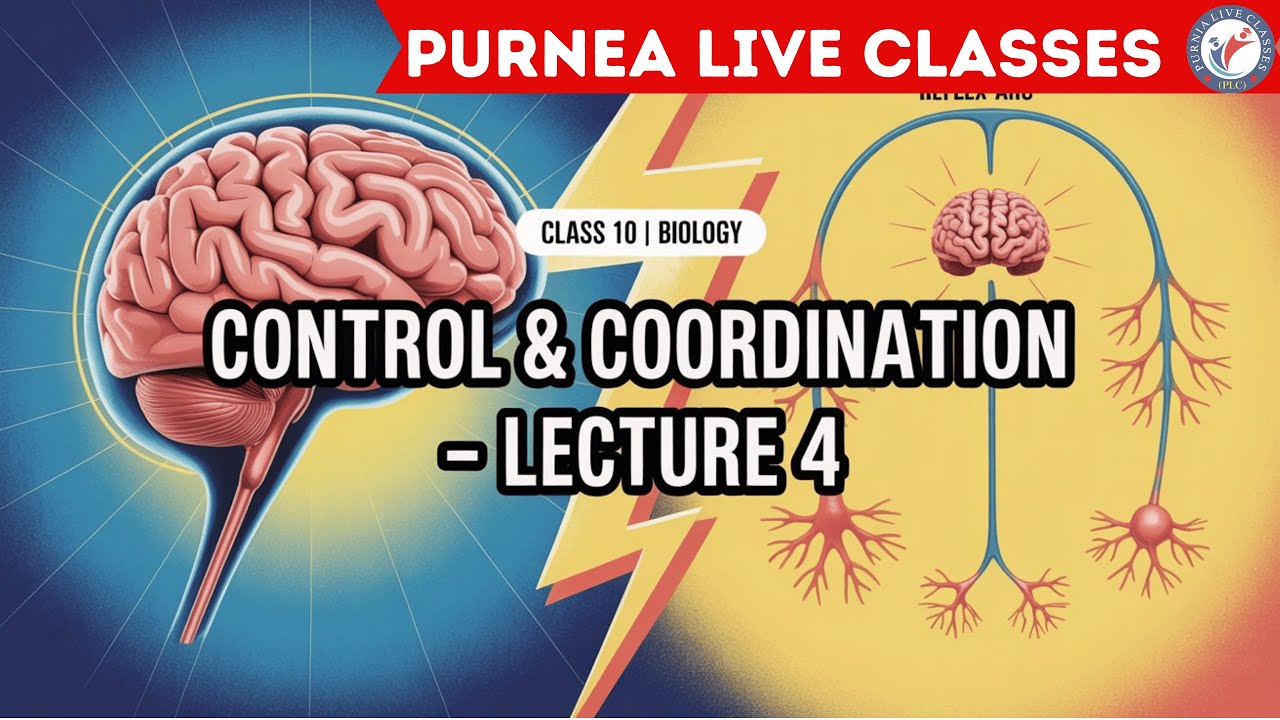 CLASS-10th | SCIENCE(BIOLOGY) | CHAPTER-6 | CONTROL & CO-ORDINATION | LECTURE-4 | BY- ILLA KUMARI