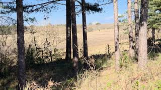 Schoorl Hargen NH/Harger Zeeweg/Overgang Duingebied Polder/14 April 2026