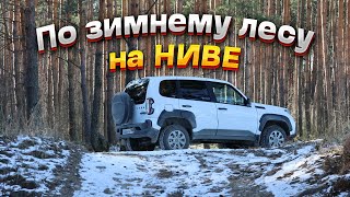 видео: По зимнему лесу на Ниве картинка: По зимнему лесу на Ниве