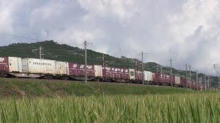 【JR貨物】2071レ EF81-454 東札幌日通コンテナ積載
