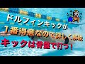 #401 ドルフィンキックが1番得意なので、詳しく解説 ドルフィンキックは骨盤で打つ！