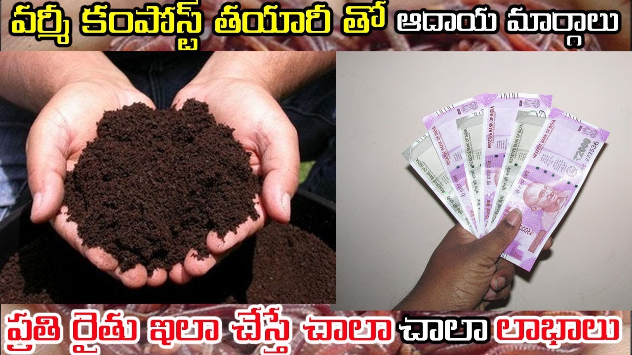 Business Startup business profit Details