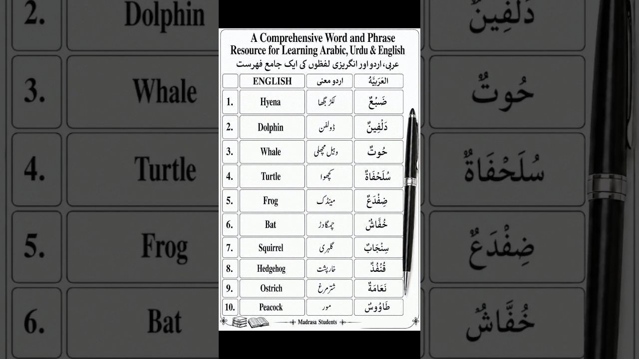 Arabic Words with Urdu & English Meaning | Learn Arabic Easily 📚✨ #shorts #trending #viral #ai