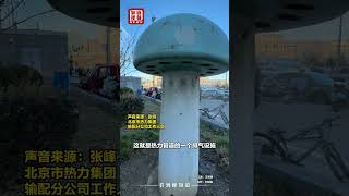 视频丨北京街头长出的“蘑菇”是一种城市“温度”