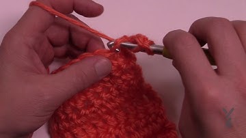 BEGINNER Crochet Double Crochet Back Loop - dcbl or dcblo