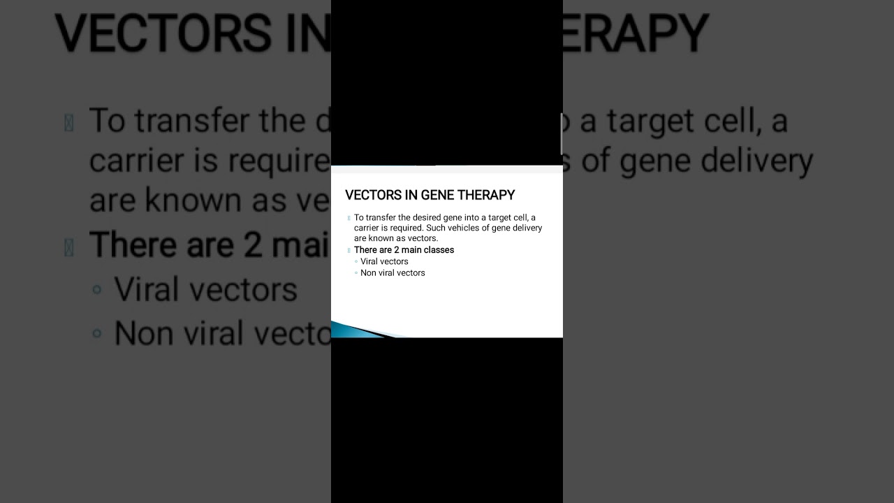 Vectors in gene therapy