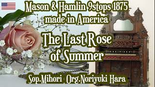 Mihori【 The Last Rose of Summer 】Niwa no Chigusa m43 Mason & Hamlin 1875 9stops org.Noriyuki Hara