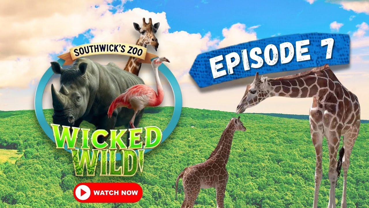 Episode 7: Right on Track (Wicked Wild: Inside New England's Biggest Zoo)