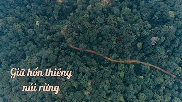 Giữ hồn thiêng núi rừng | SẮC MÀU CÁC DÂN TỘC | VTV5