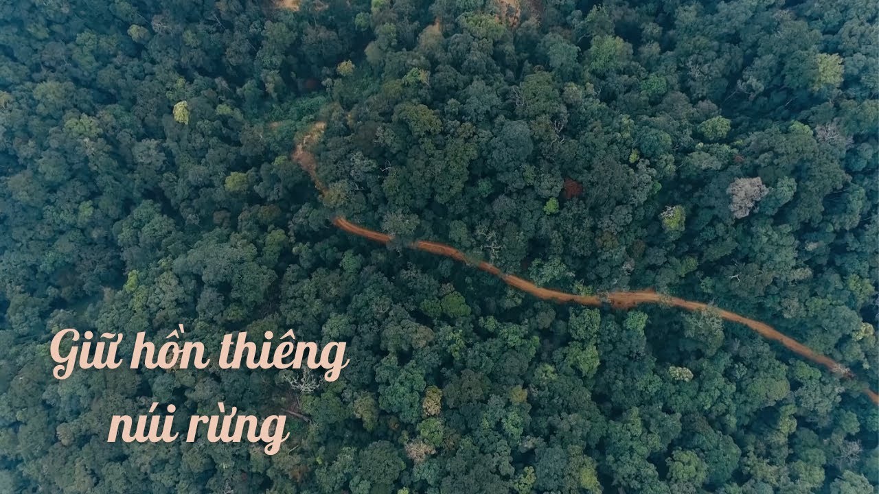 Giữ hồn thiêng núi rừng | SẮC MÀU CÁC DÂN TỘC | VTV5