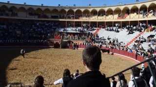 Queima das Fitas da Universidade de Coimbra 2013 - Garraiada