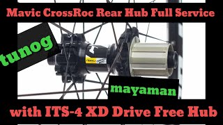 How to Open / Service / Clean Mavic CrossRoc Rear Hub / With XD Drive  ITS-4 Free Wheel Maintenance