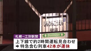 列車にはねられ女性死亡 JR森林公園駅 札幌～江別間が2時間近く運転見合わせで特急含む42本が運休 (22/02/03 07:25)
