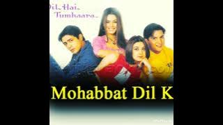 Mohabbat Dil Ka Sakoon Hai Song | Dil Hai Tumhara | Alka Yagnik , Kumar Sanu & Udit Narayan |
