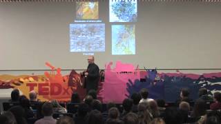 Discovering Vincent van Gogh's Sunset at Montmajour | Teio Meedendorp | TEDxUniversityofStAndrews