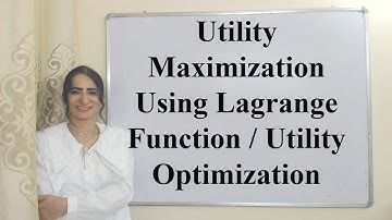 Utility Maximization Using Lagrange Function  / Utility Optimization