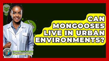 Can Mongooses Live In Urban Environments? - Earth Science Answers