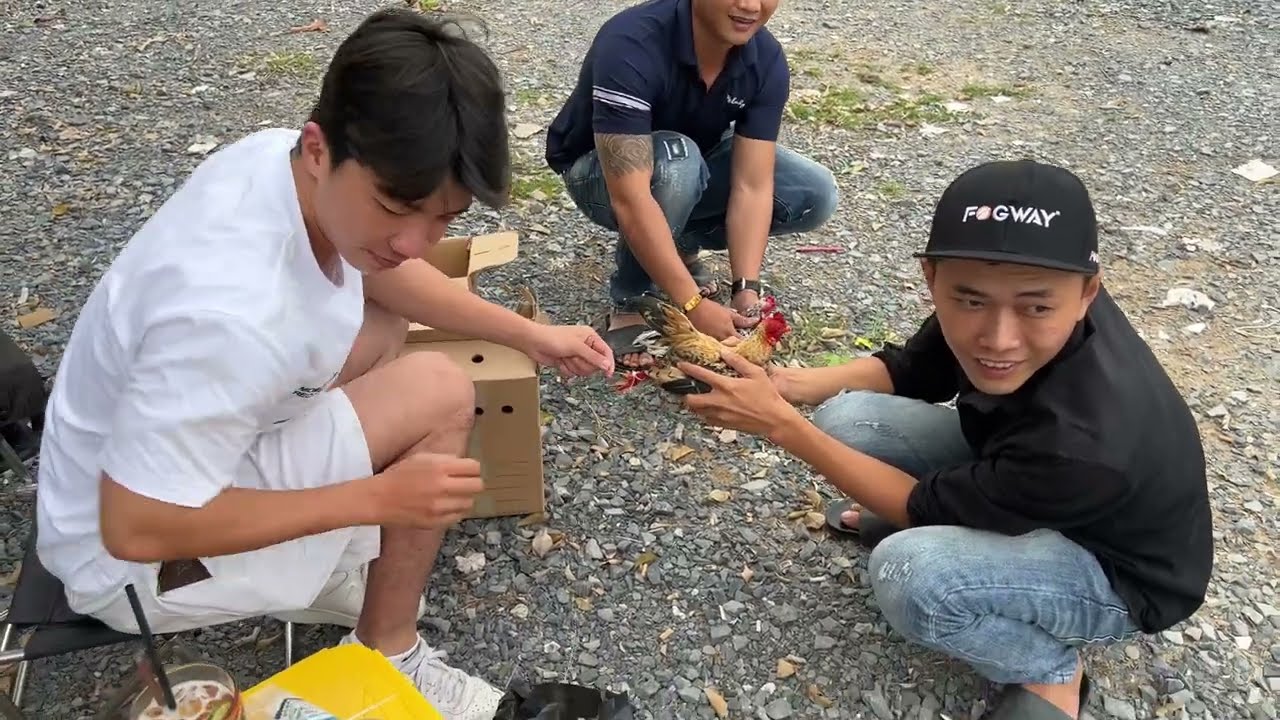 Họp hội gà Tre Bắc, dọn vườn - Chủ Nhật