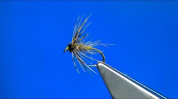 Tying a Grannom/Caddis Soft Hackle by Davie McPhail