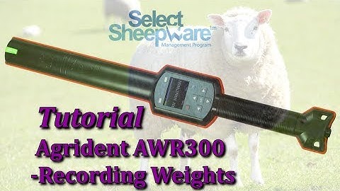 Agrident AWR300 Tutorial on Weighing