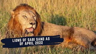 N'WASWISHAKA GETS ATTACKED BY RIVAL COALITION - THE LIONS OF SABI SANDS - EPISODE 8 - April 2022