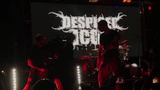 Despised Icon - Purgatory (10/3/2019 @ Gas Monkey Bar & Grill @ Dallas, Texas)