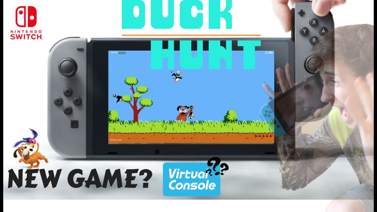 Duck Hunt For The Nintendo Switch?!?!