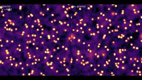 Solitons in self-interacting scalar field: effect of self-gravity