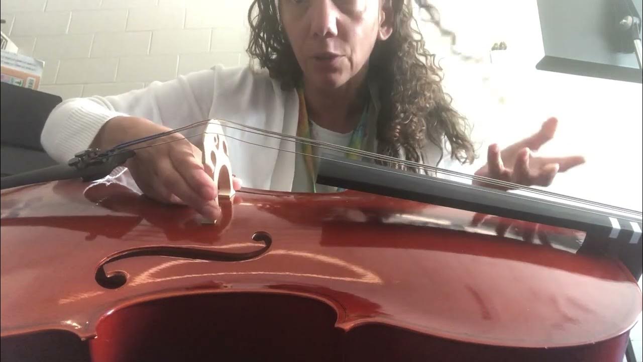 How to fix a cello bridge YouTube