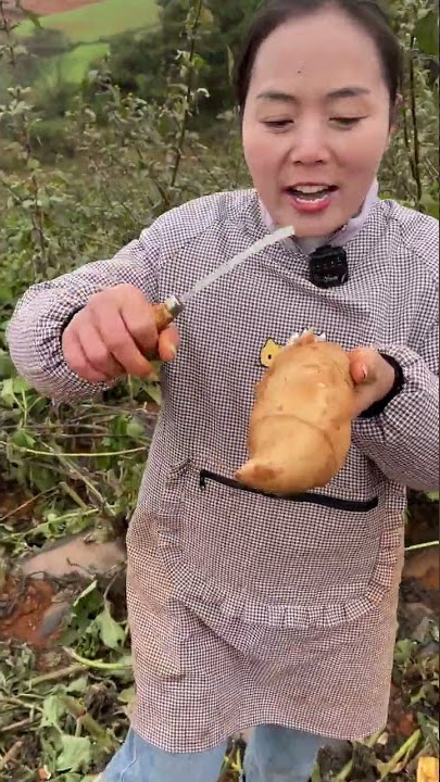 Beautiful Nature - Inspur Fresh Fruit wonderful video of  Industry #1470