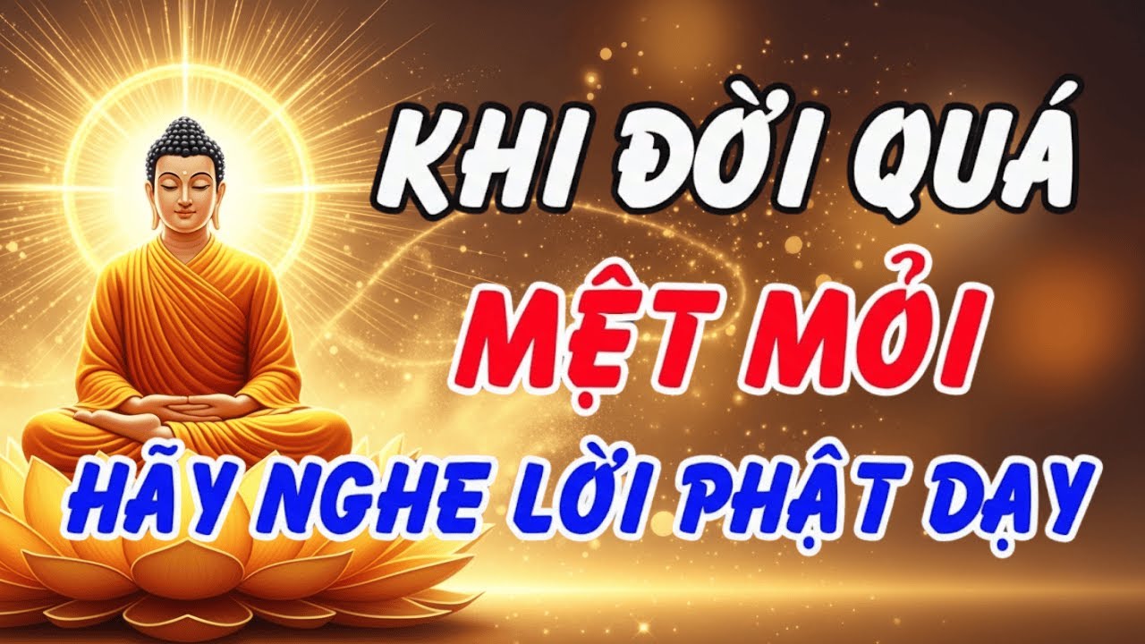 Lời Phật Dạy Để Tâm Sạch Như Gương: Gột Rửa Muộn Phiền, Đón Nhận Hỷ Lạc