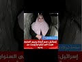 لا اعتقد وان حدث فا لعنة الله عليكم أجمعين ولاد ستين لا اعتقد وان حدث فا لعنة الله عليكم أجمعين ولاد ستين