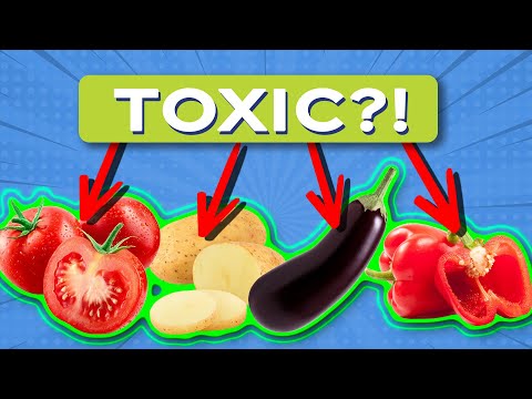 Video: Kokiuose maisto produktuose yra daug solanino?