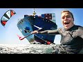 Big ships sharks and the wind almost died kevvlog