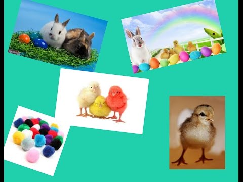 Video: Kaip Gaminti Velykinius Amatus: Pom-Pom Viščiukai, Veltiniai Balandžiai Ir Velykų Medis