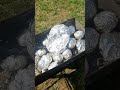 готовим вкуснятину