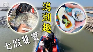 Taiwan! Eat it raw! The love and hate of oyster and goose! Treasure hunting in the Chigu Lagoon~