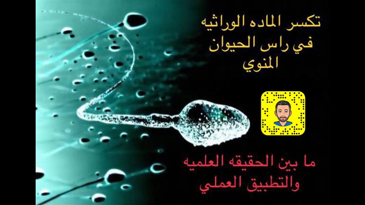 Sperm DNA fragmentstion & ICSI - تكسر الماده الوراثيه في راس الحيوان المنوي  والحقن المجهري