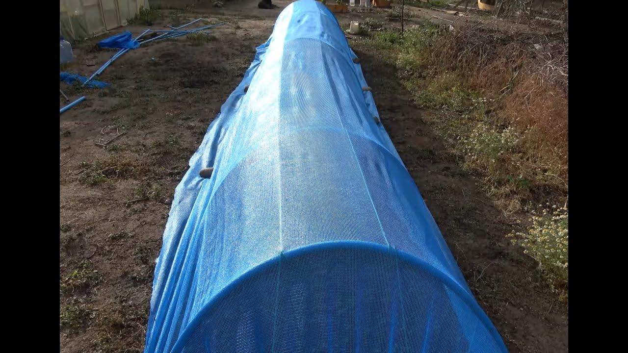 Micro invernadero o microtunel. Fácil de hacer, económico #agricultura #campo #huerta #permaculture